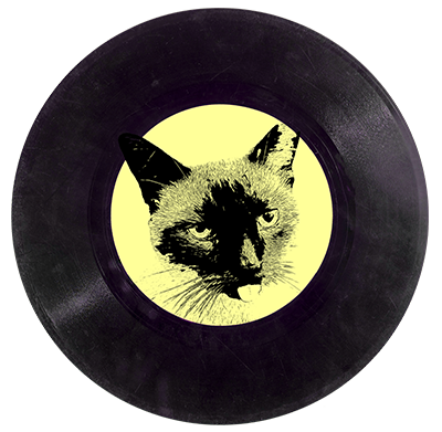 Platter Chatter logo — Woody Acousticat on a 45
